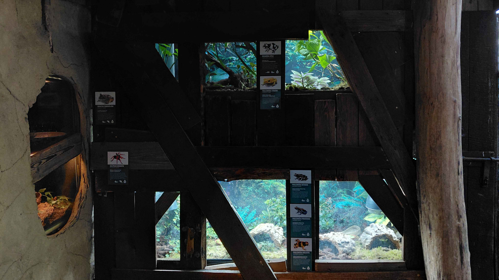 Yucatan - terrariums