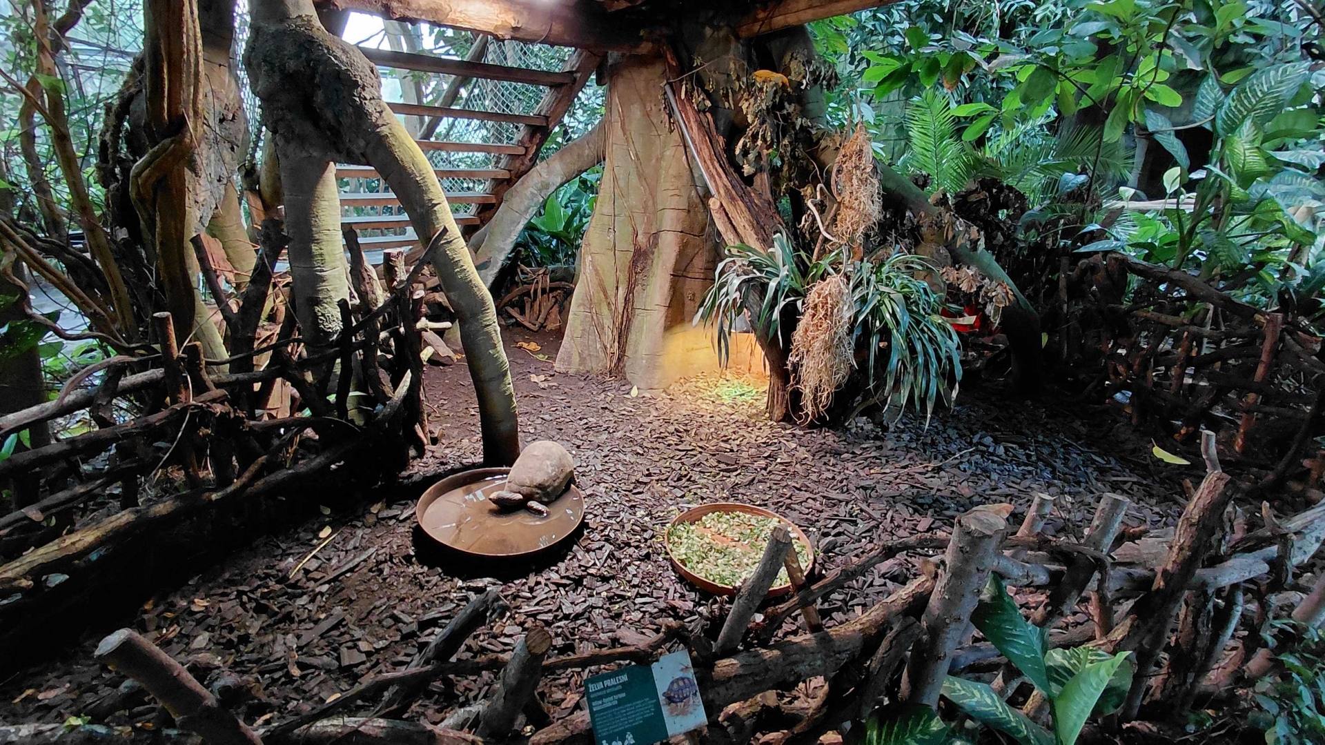Yucatan - tortoise exhibit