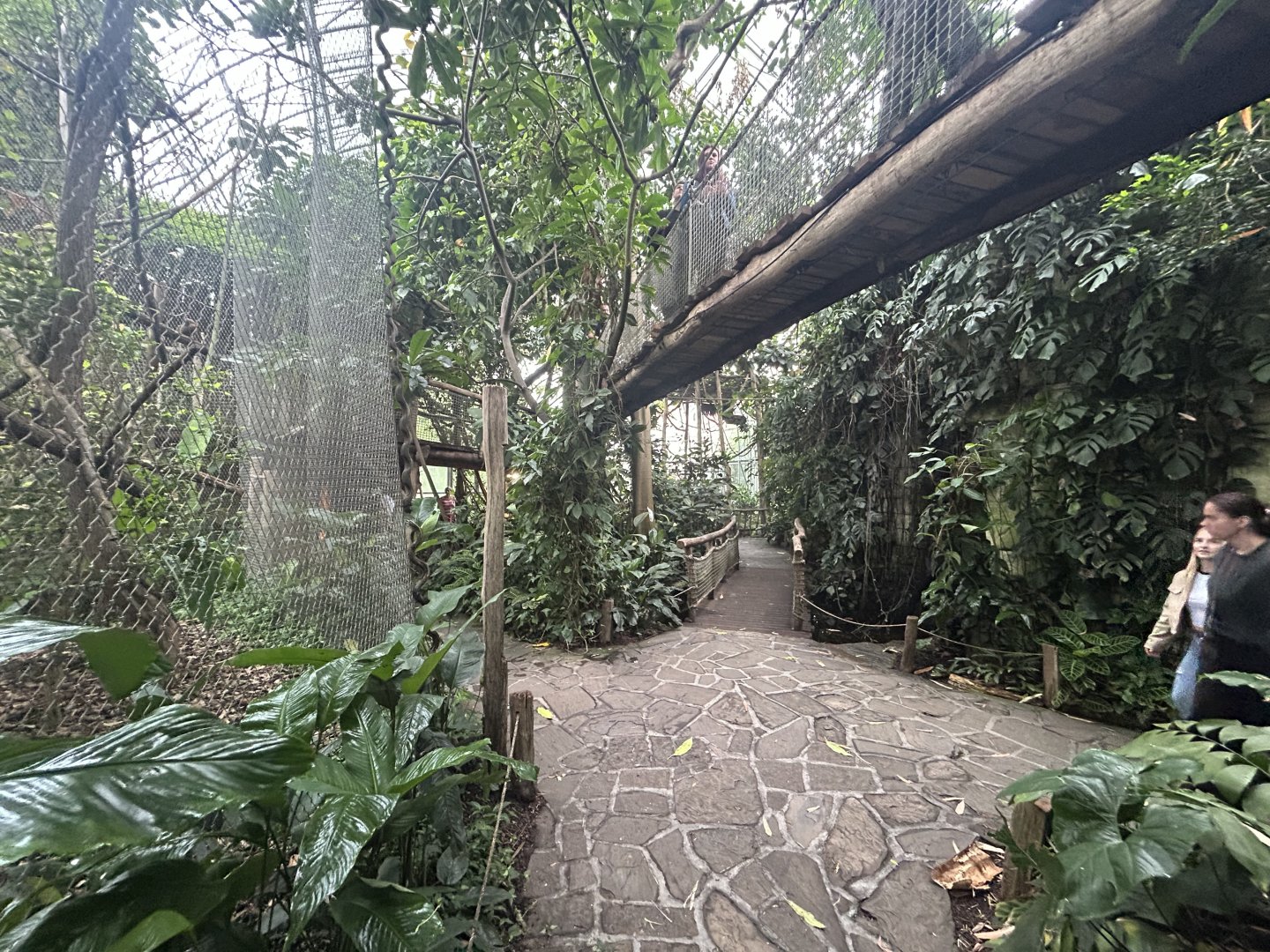 Yucatan Tropical House