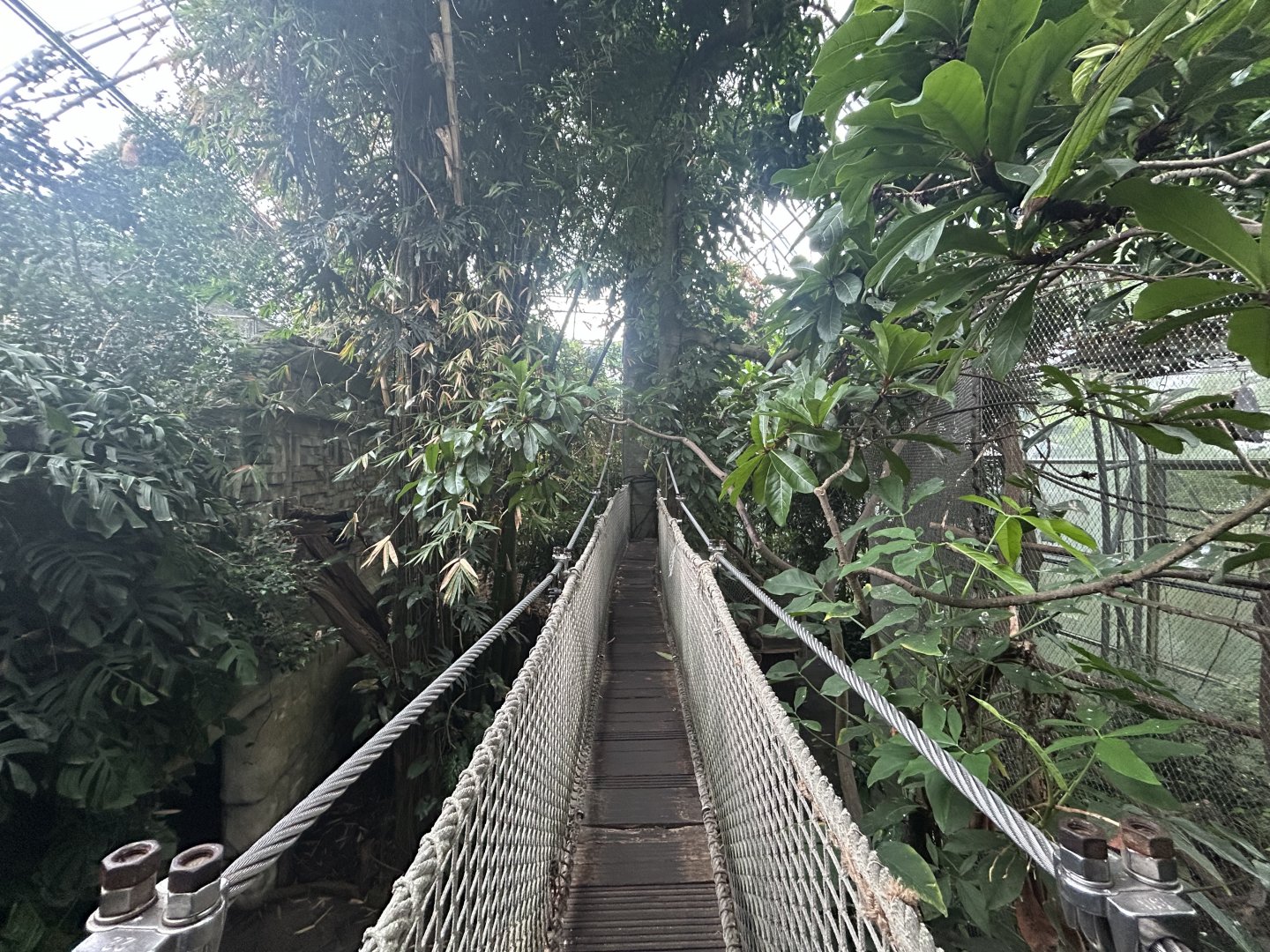 Yucatan Tropical House