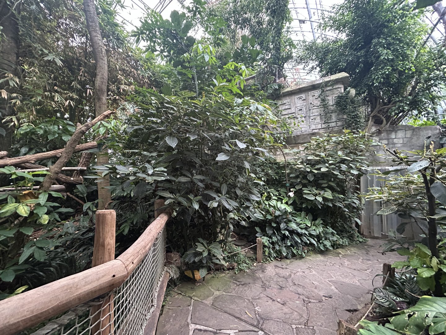 Yucatan Tropical House