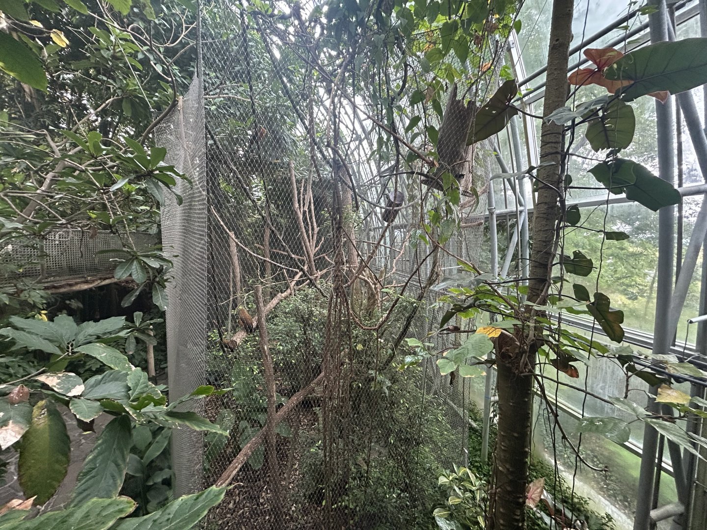 Yucatan Tropical House