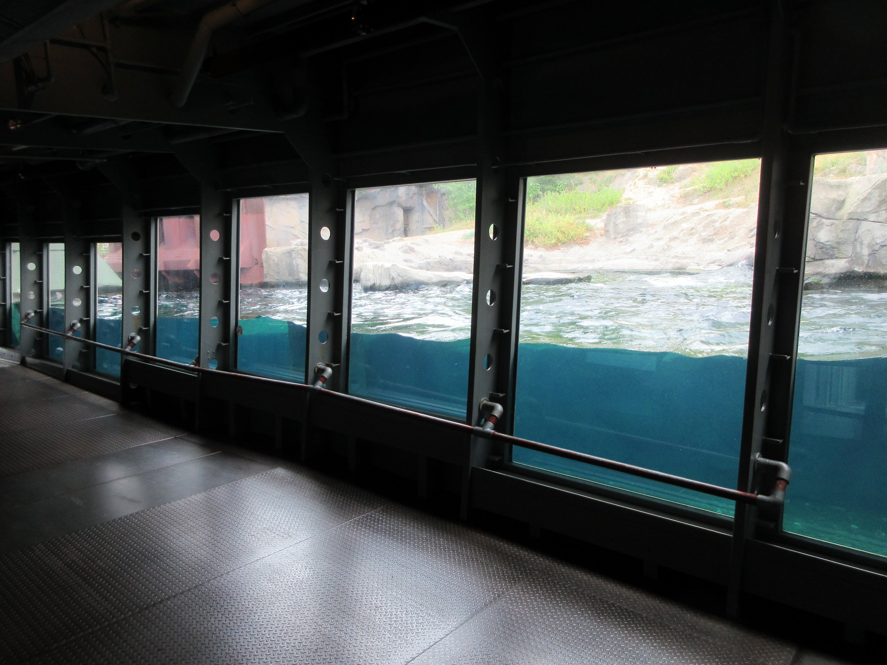 Yukon Bay - Polar Bear Exhibit