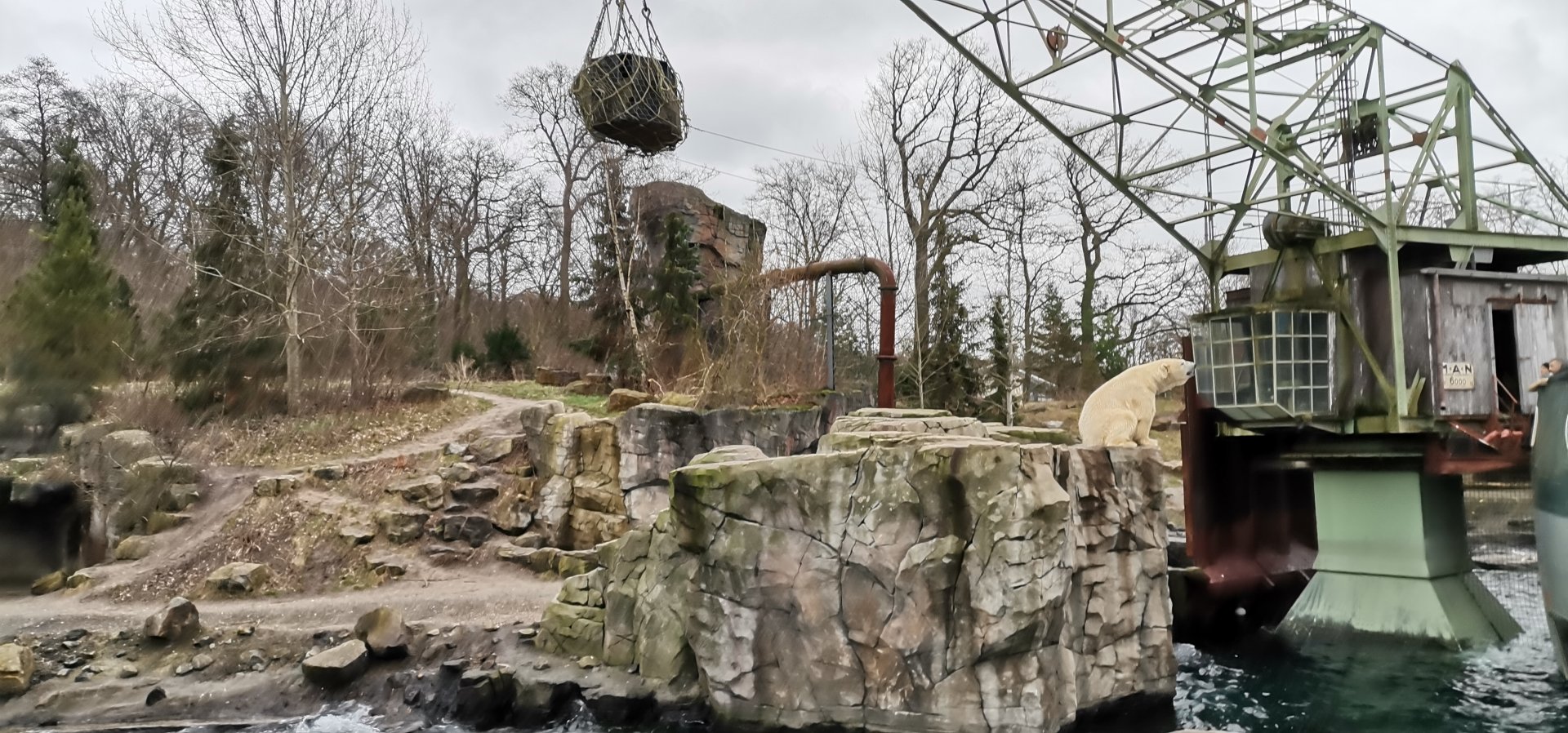 Yukon Bay, Polar Bear exhibit