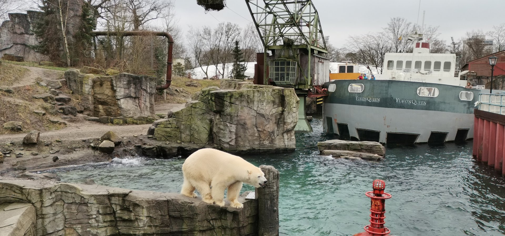 Yukon Bay, Polar Bear exhibit