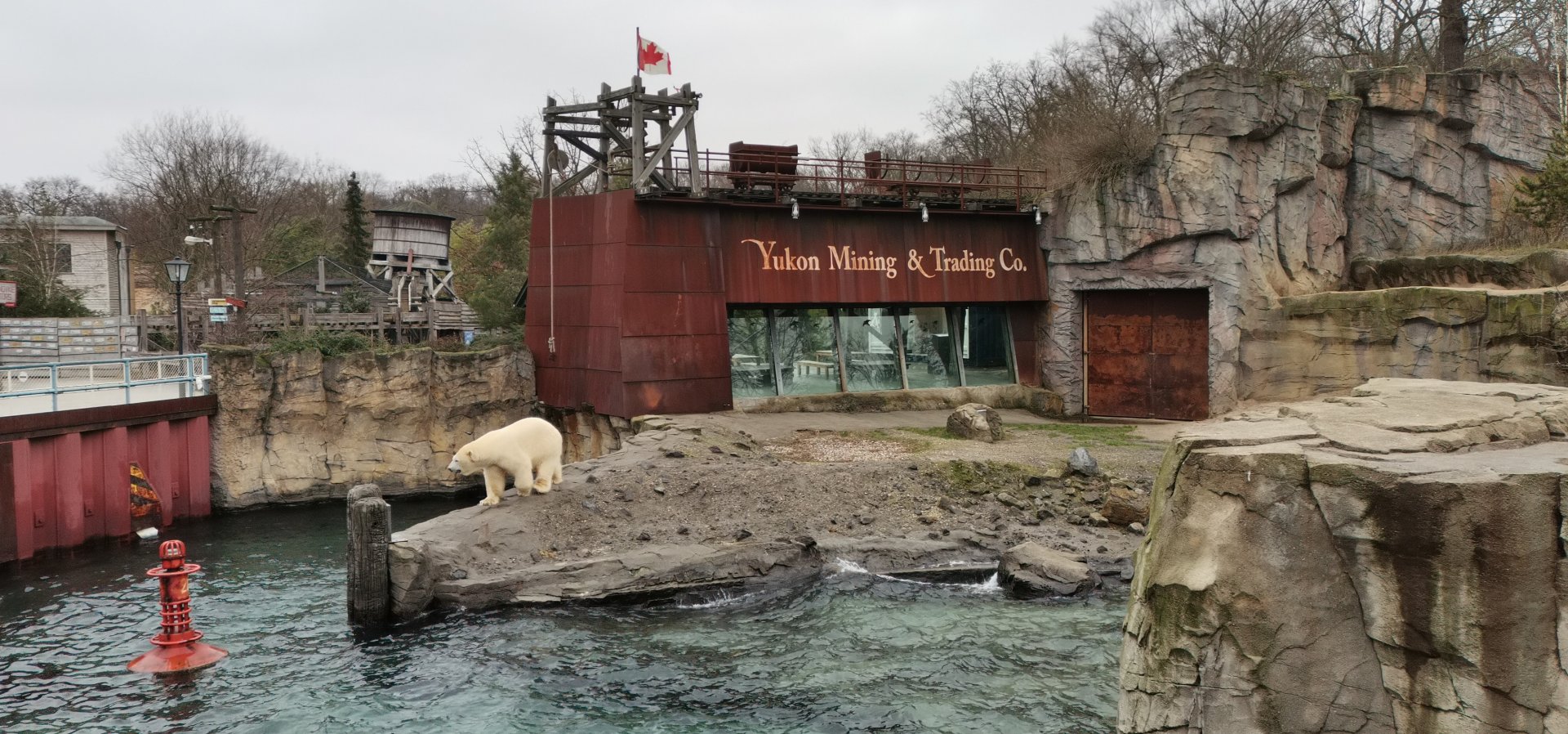 Yukon Bay, Polar Bear exhibit