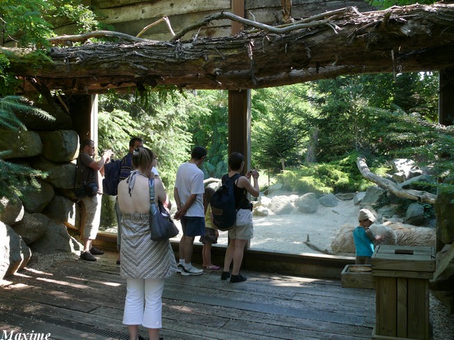 Yukon Valley - Zoo de la Flèche