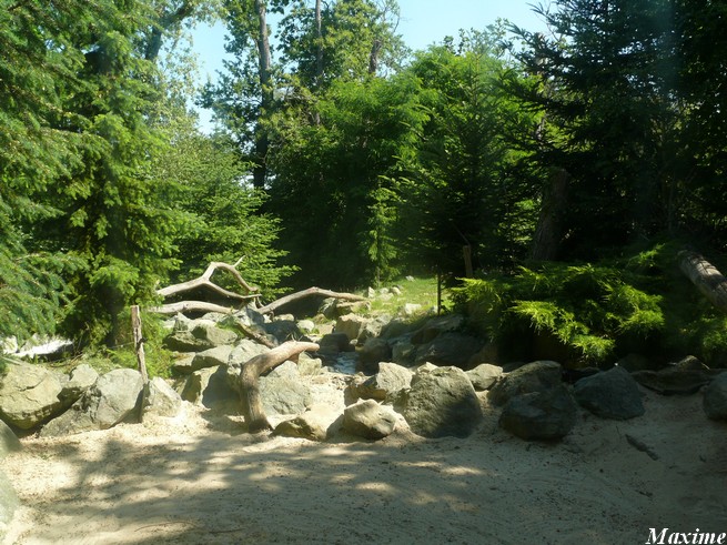Yukon Valley - Zoo de la Flèche
