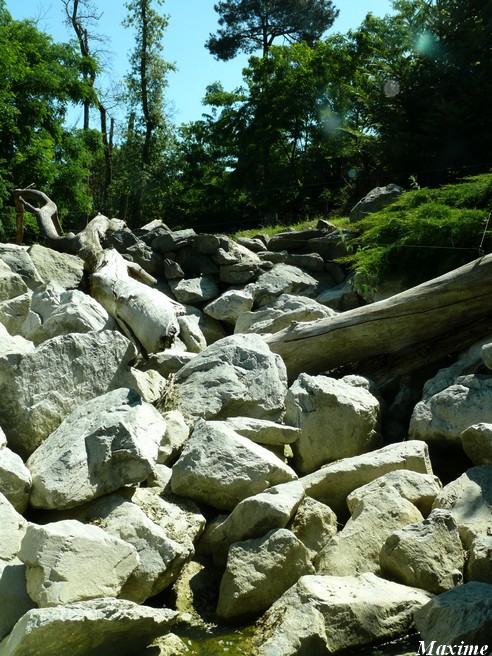 Yukon Valley - Zoo de la Flèche