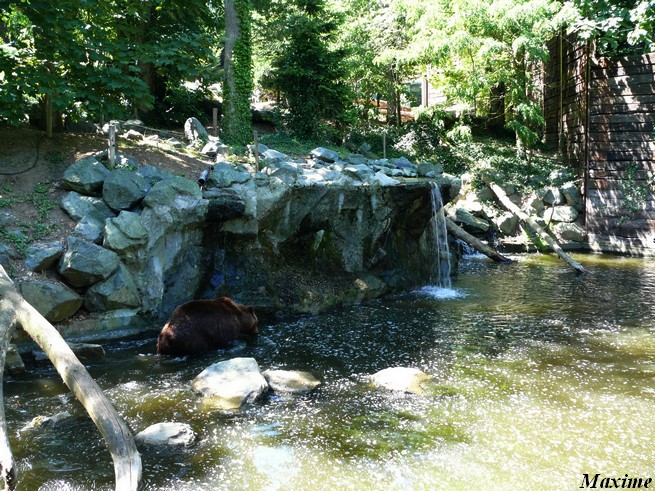 Yukon Valley - Zoo de la Flèche