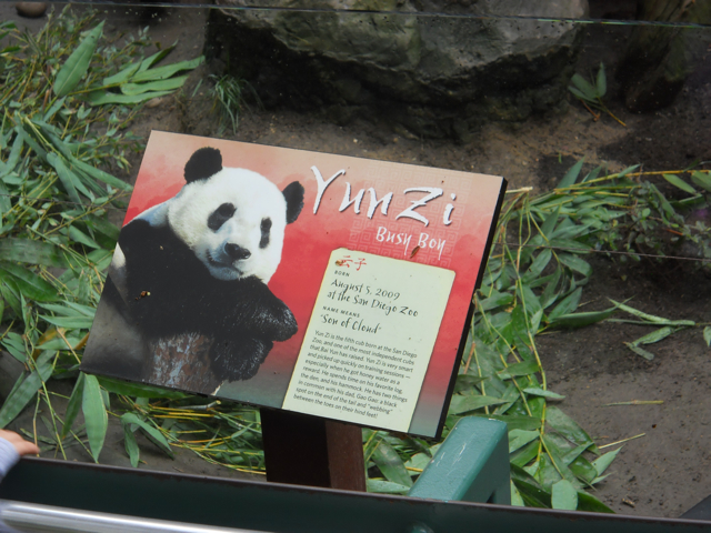 Yun Zi biography