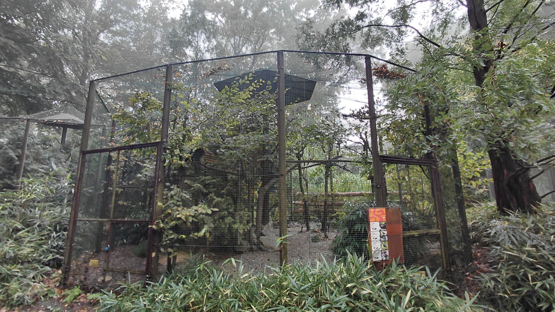 Yunnan forest aviary