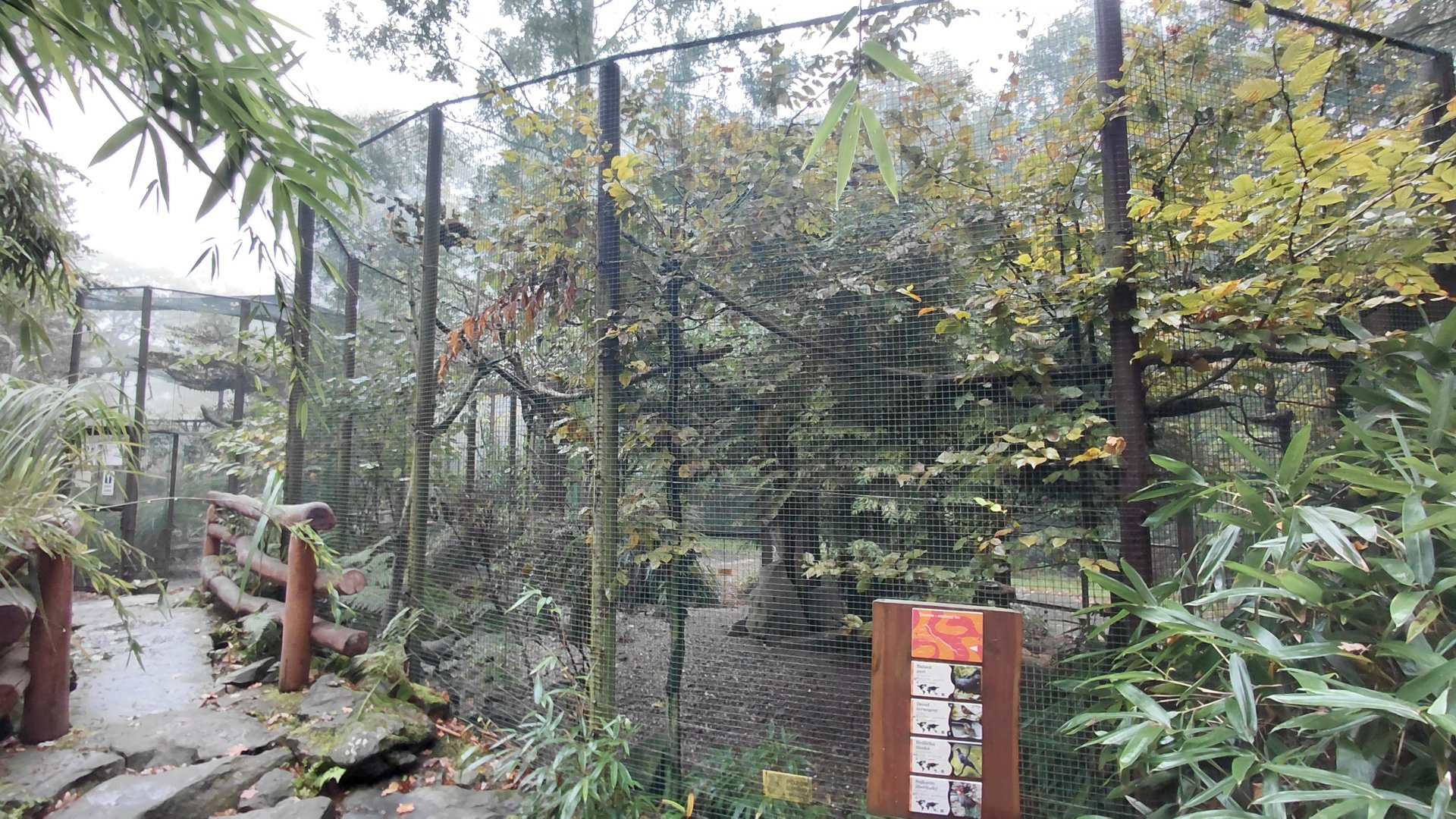 Yunnan forest aviary
