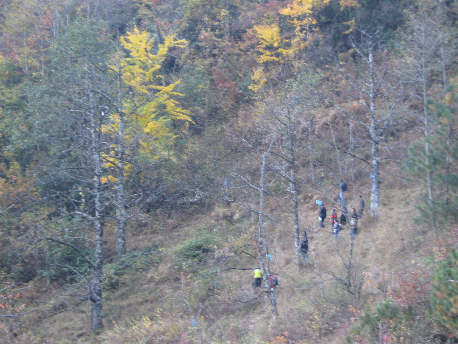 Yunnan snub-nosed monkey country!