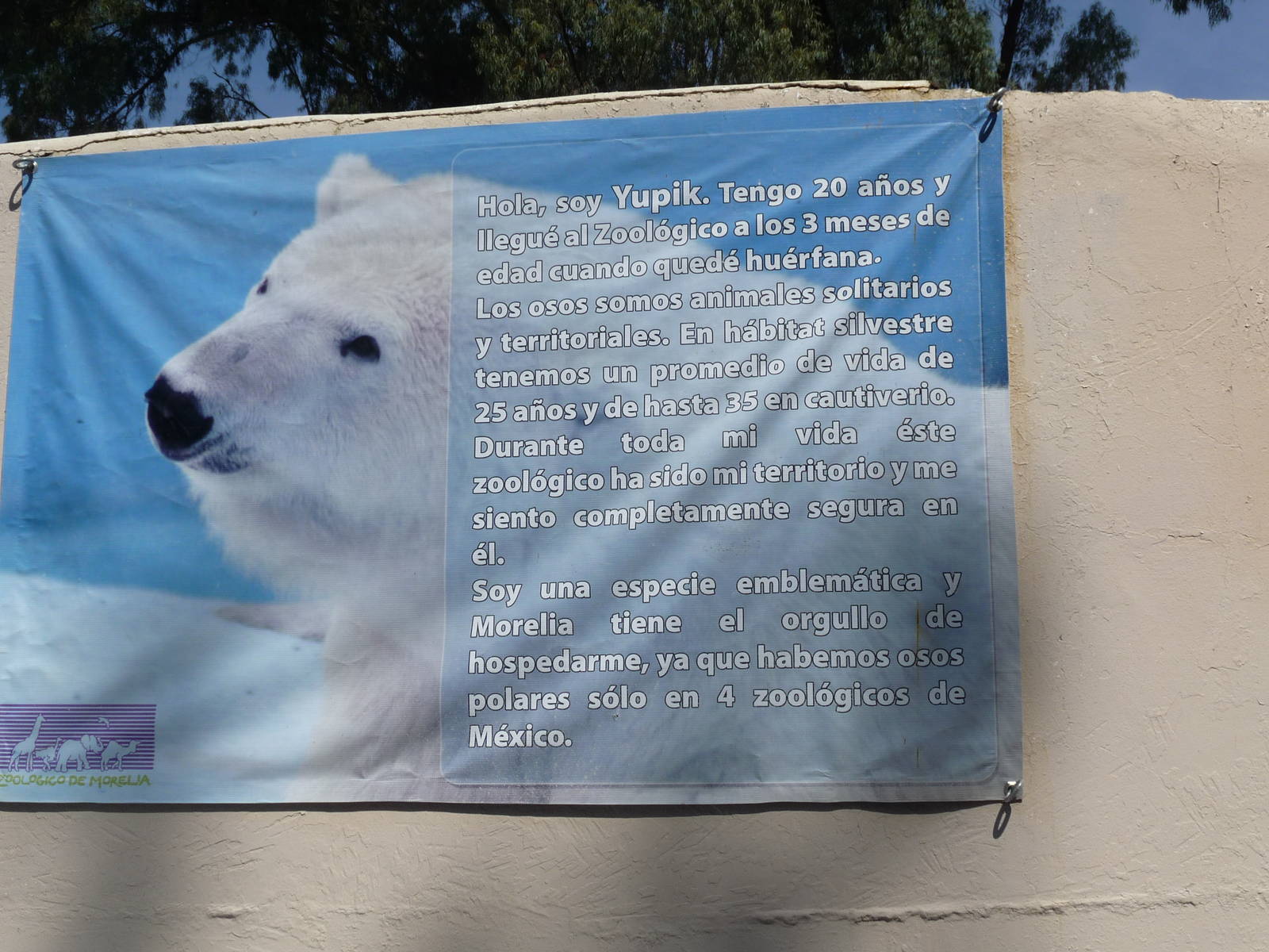 yupik sign morelia zoo