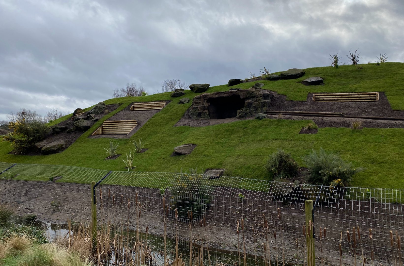 YWP Gelada enclosure update - new turf, planting and bank reinforcements / climbing