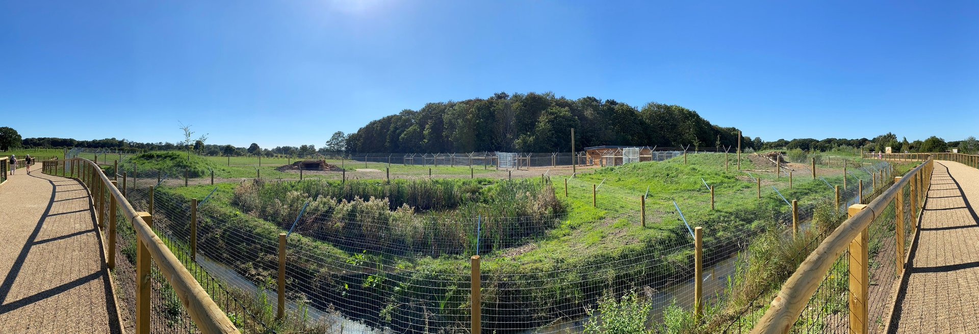 YWP new cheetah enclosure. panoramic, left side
