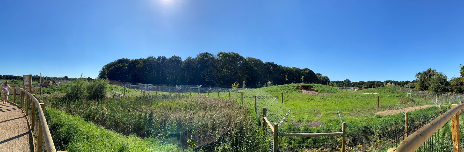 YWP new cheetah enclosure, panoramic, right side