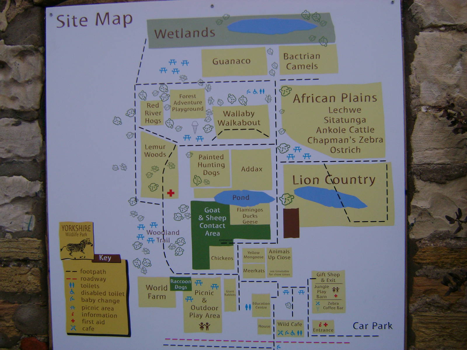 YWP Site Map *NEW*