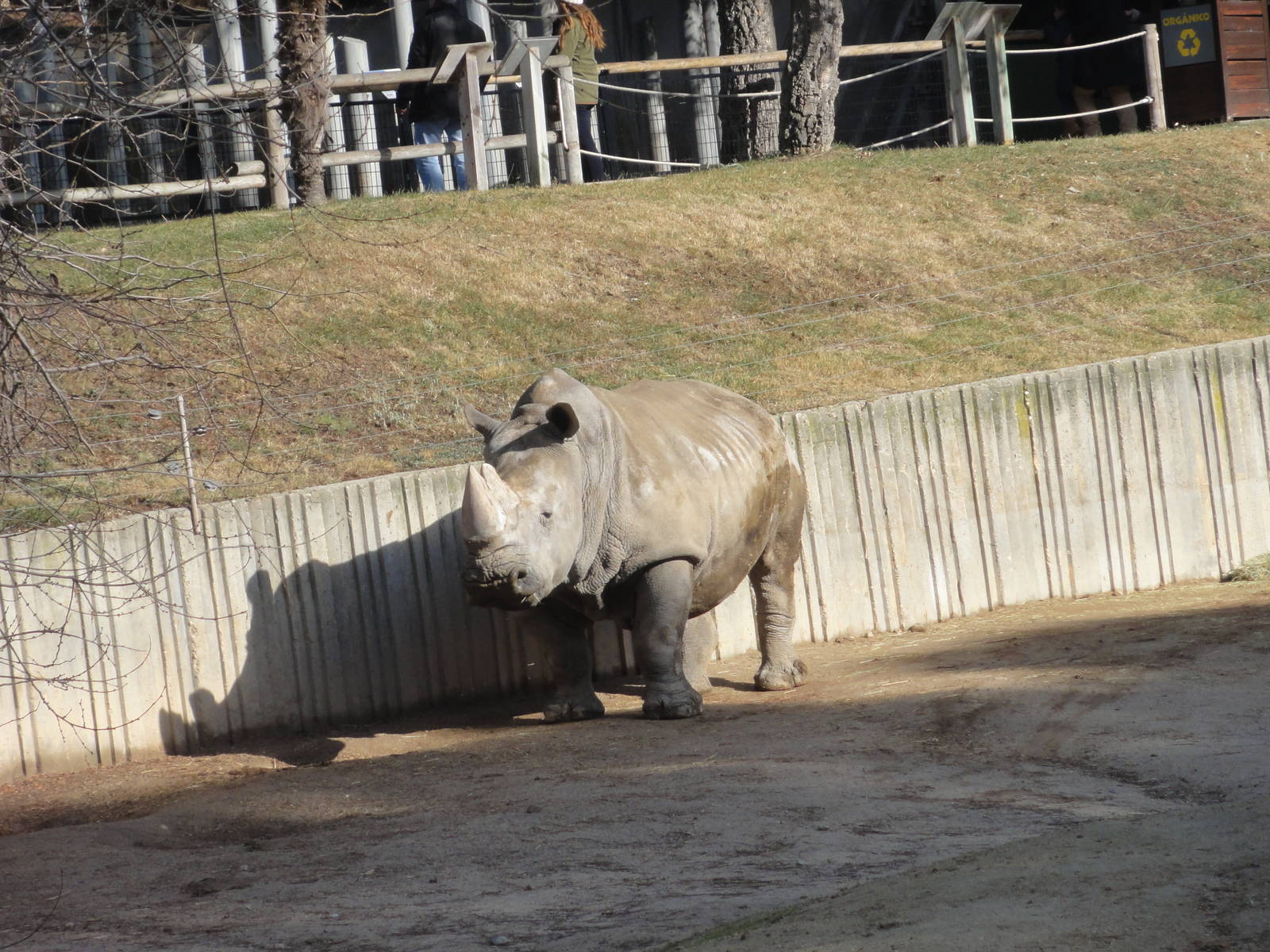 Z*A*M: Christmas 2016