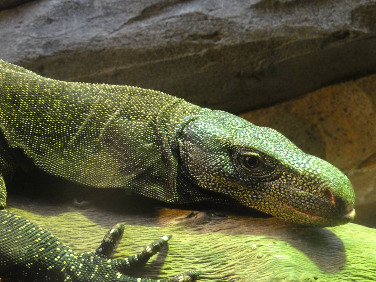 Z*A*M: Christmas 2016