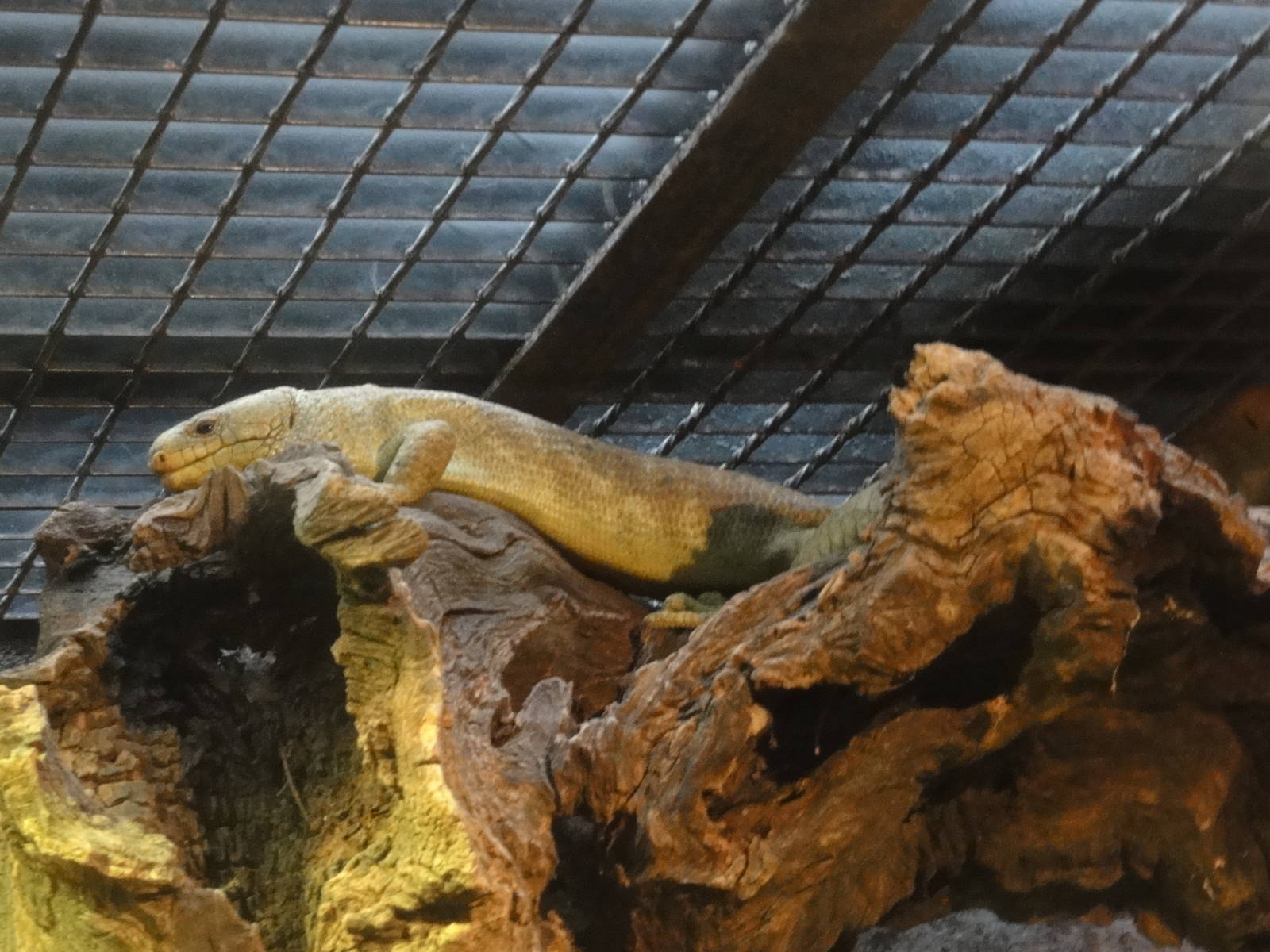 Z*A*M: Christmas 2016