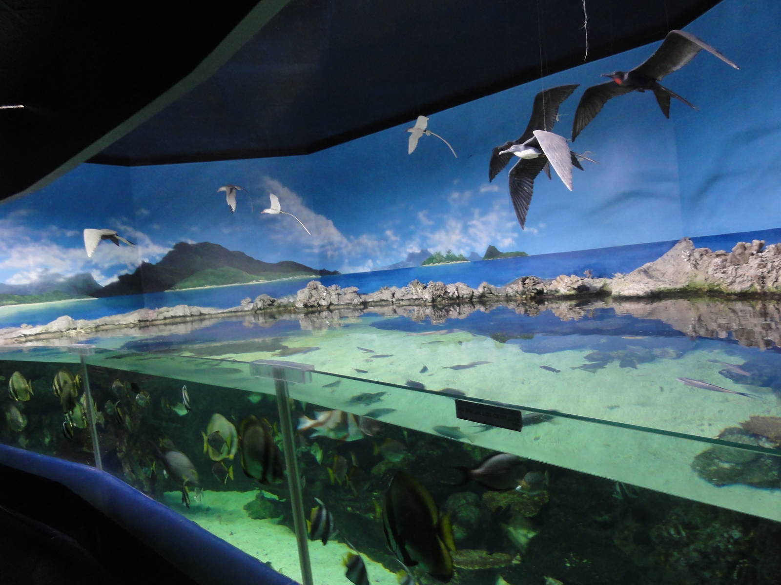 Z*A*M: Christmas 2016