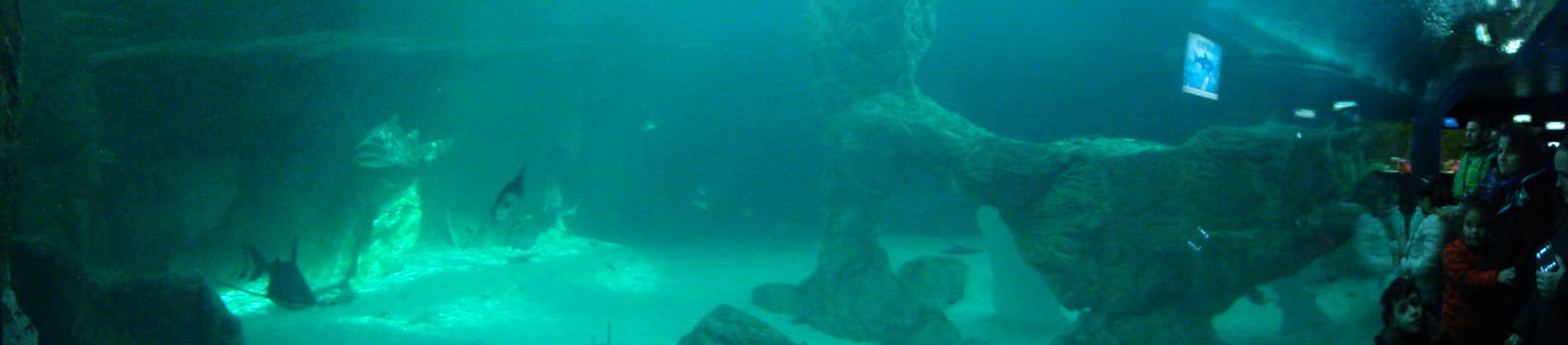 Z*A*M: Christmas 2016