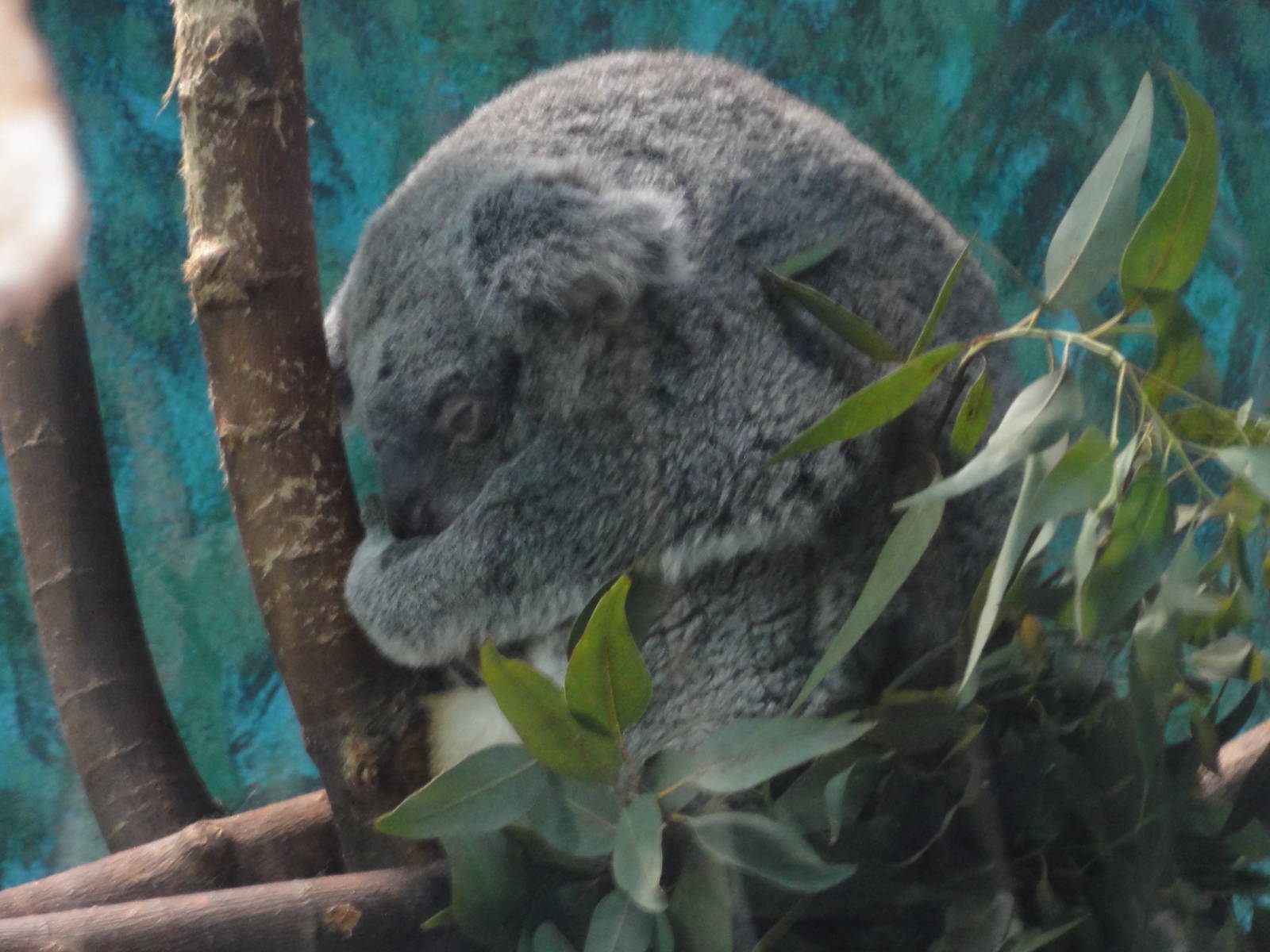 Z*A*M: Christmas 2016