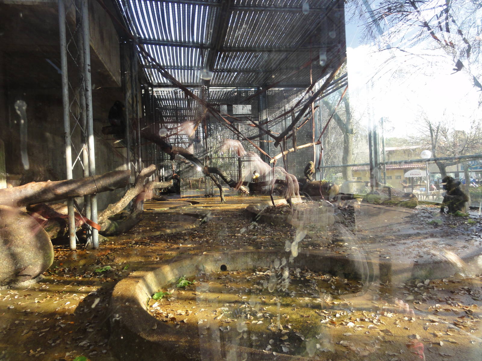 Z*A*M: Christmas 2016