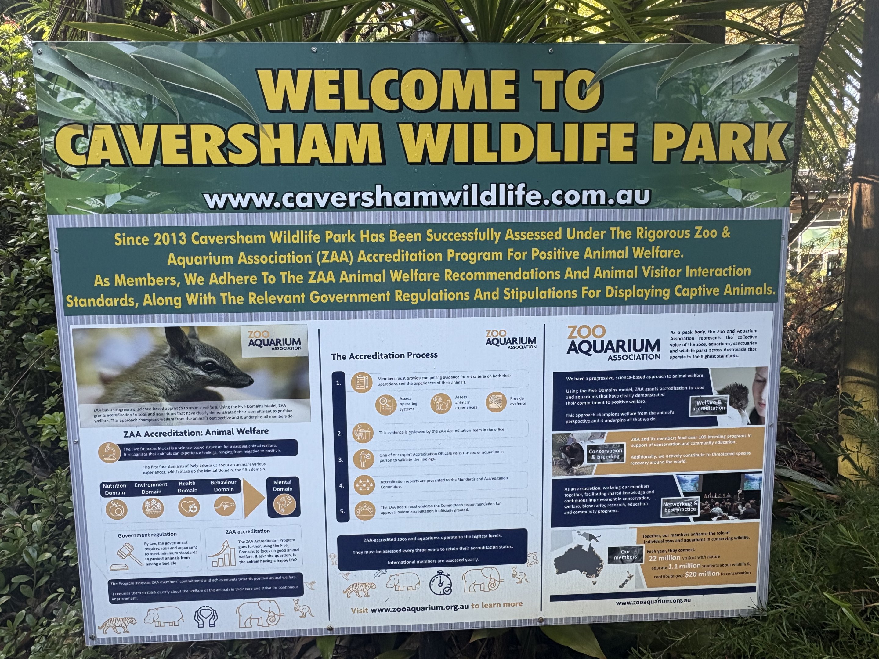 ZAA accreditation - July 2025