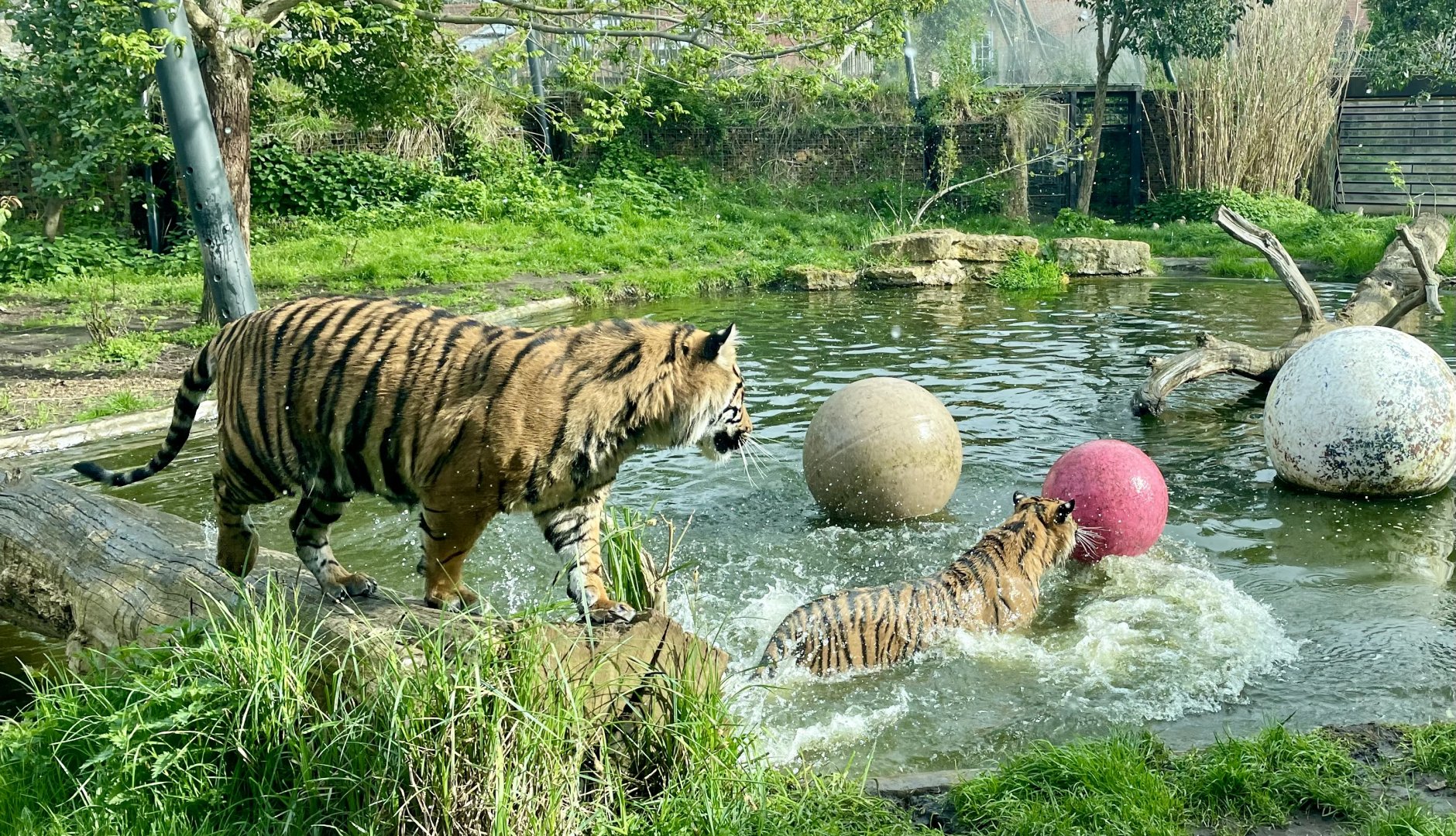 Zac and Crispin having a Splash