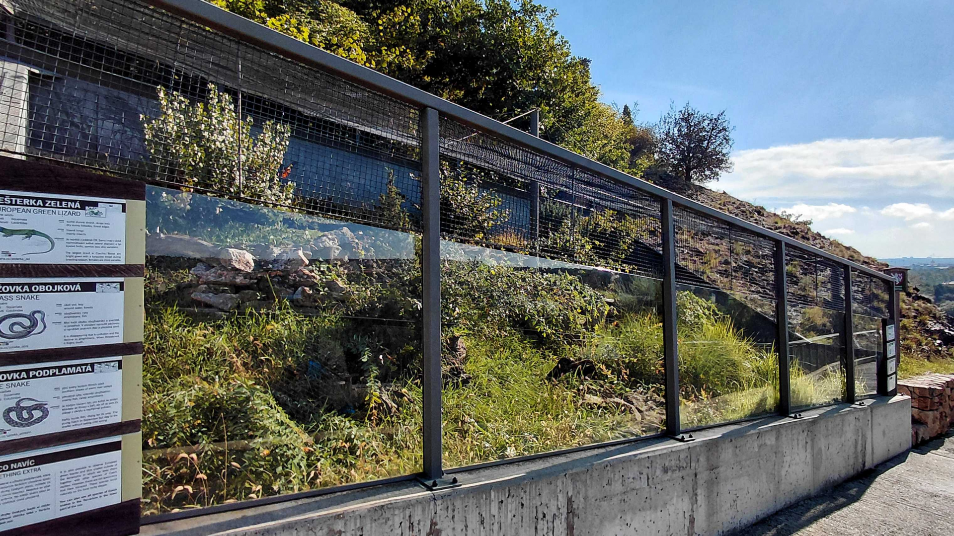 Zakázanka - native reptiles exhibit