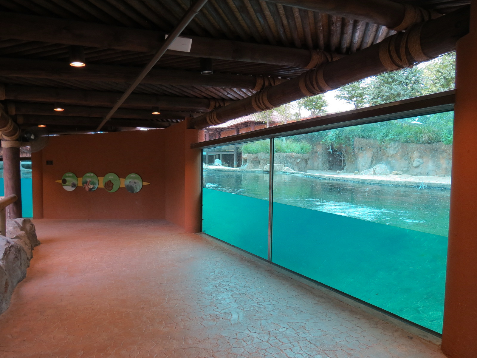 Zambezi River Hippo Camp - Hippopotamus Exhibit Viewing Area