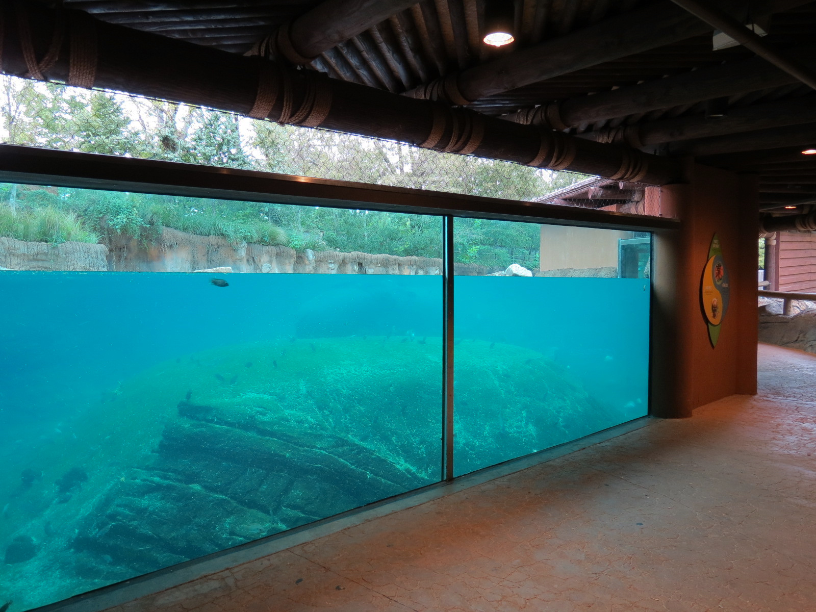 Zambezi River Hippo Camp - Hippopotamus Exhibit Viewing Area