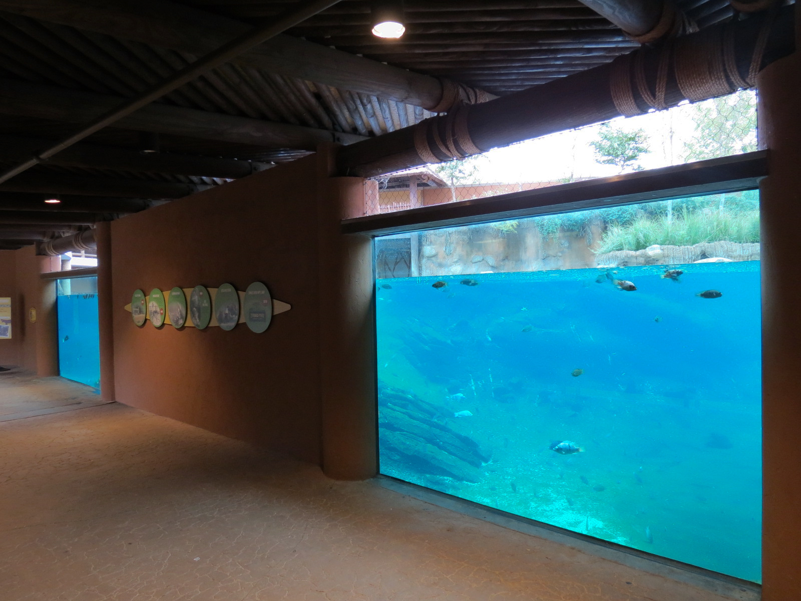 Zambezi River Hippo Camp - Hippopotamus Exhibit Viewing Area