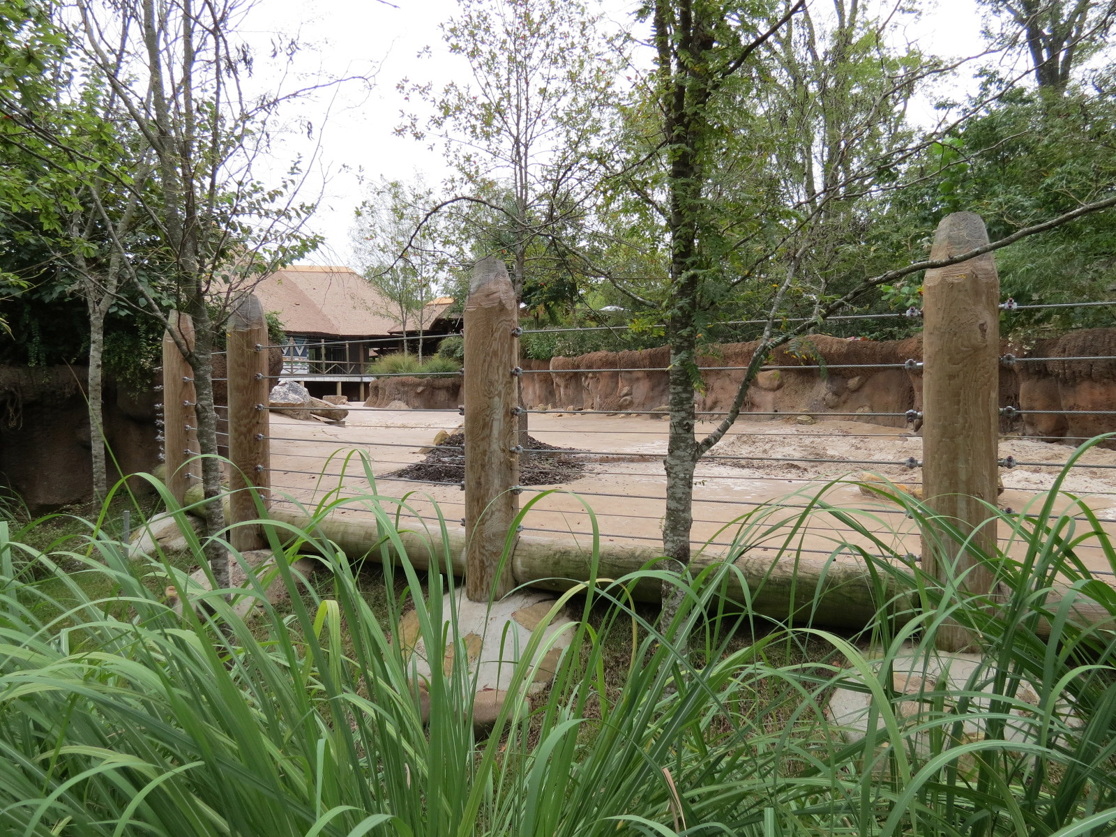 Zambezi River Hippo Camp - Hippopotamus Exhibit