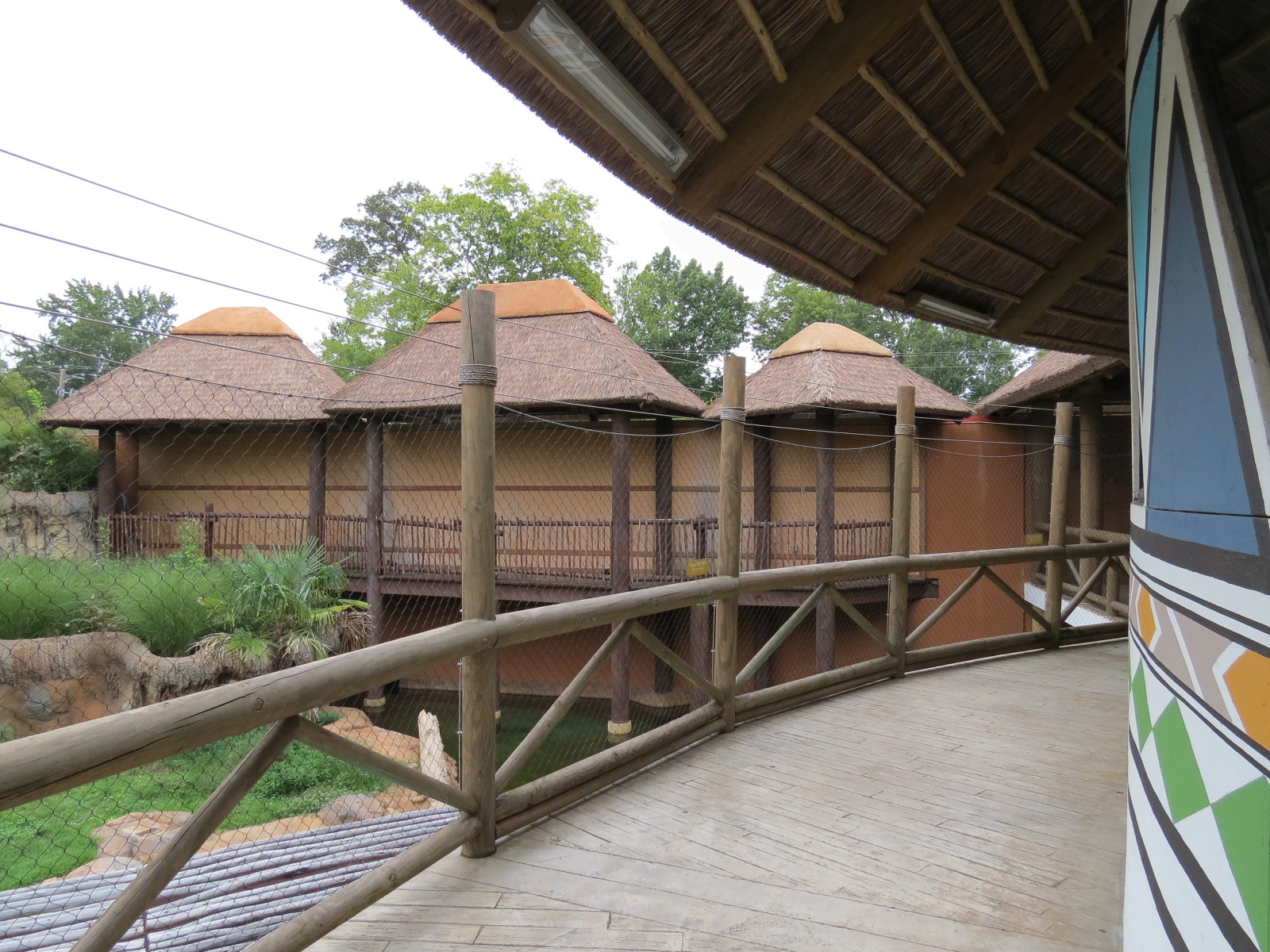 Zambezi River Hippo Camp - Nile Crocodile Exhibit Viewing Area