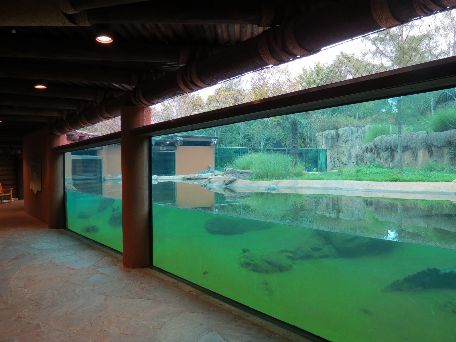 Zambezi River Hippo Camp - Nile Crocodile Exhibit Viewing Area