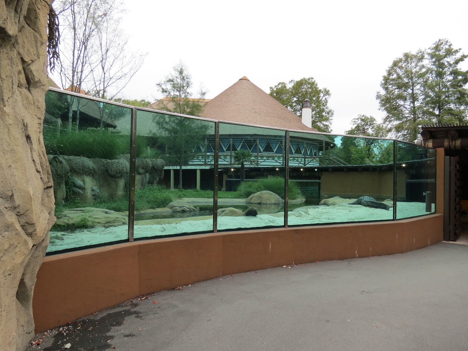 Zambezi River Hippo Camp - Nile Crocodile Exhibit Viewing Area
