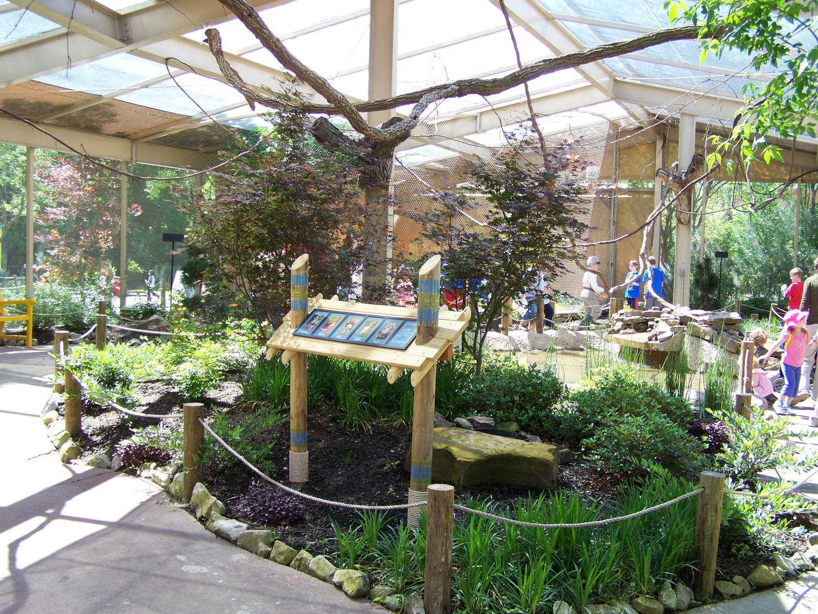 Zambezi River Hippo Camp