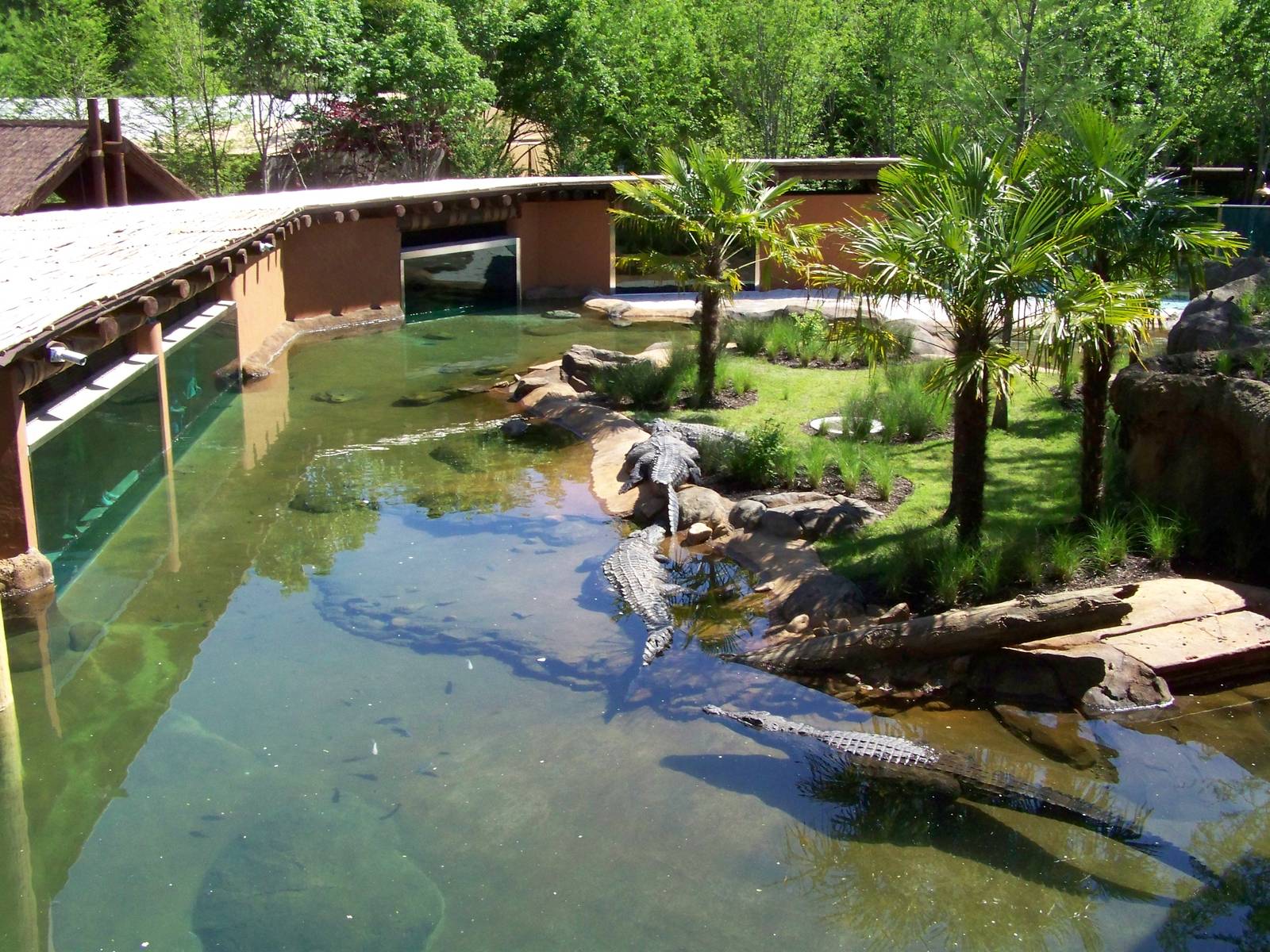 Zambezi River Hippo Camp