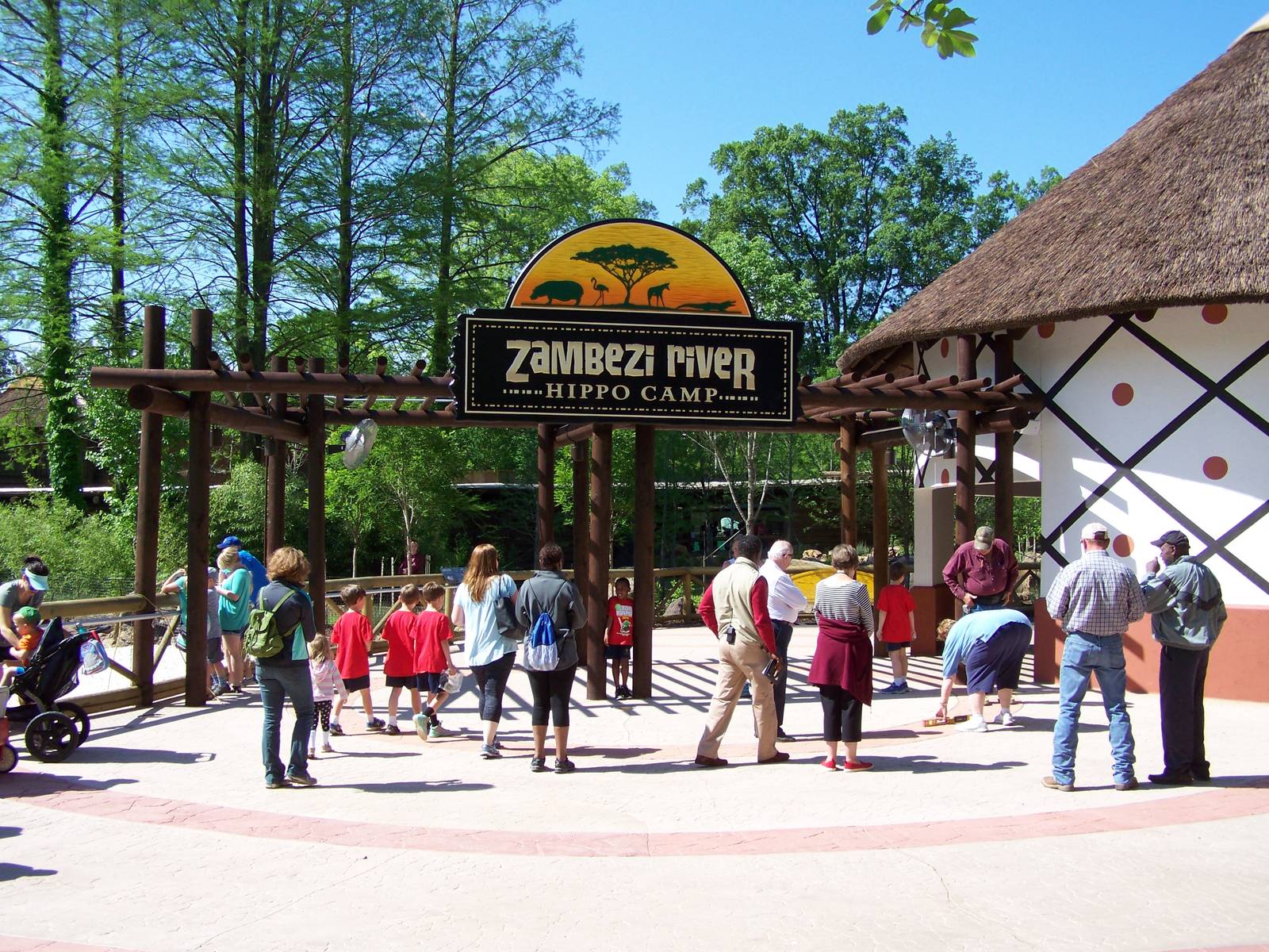 Zambezi River Hippo Camp