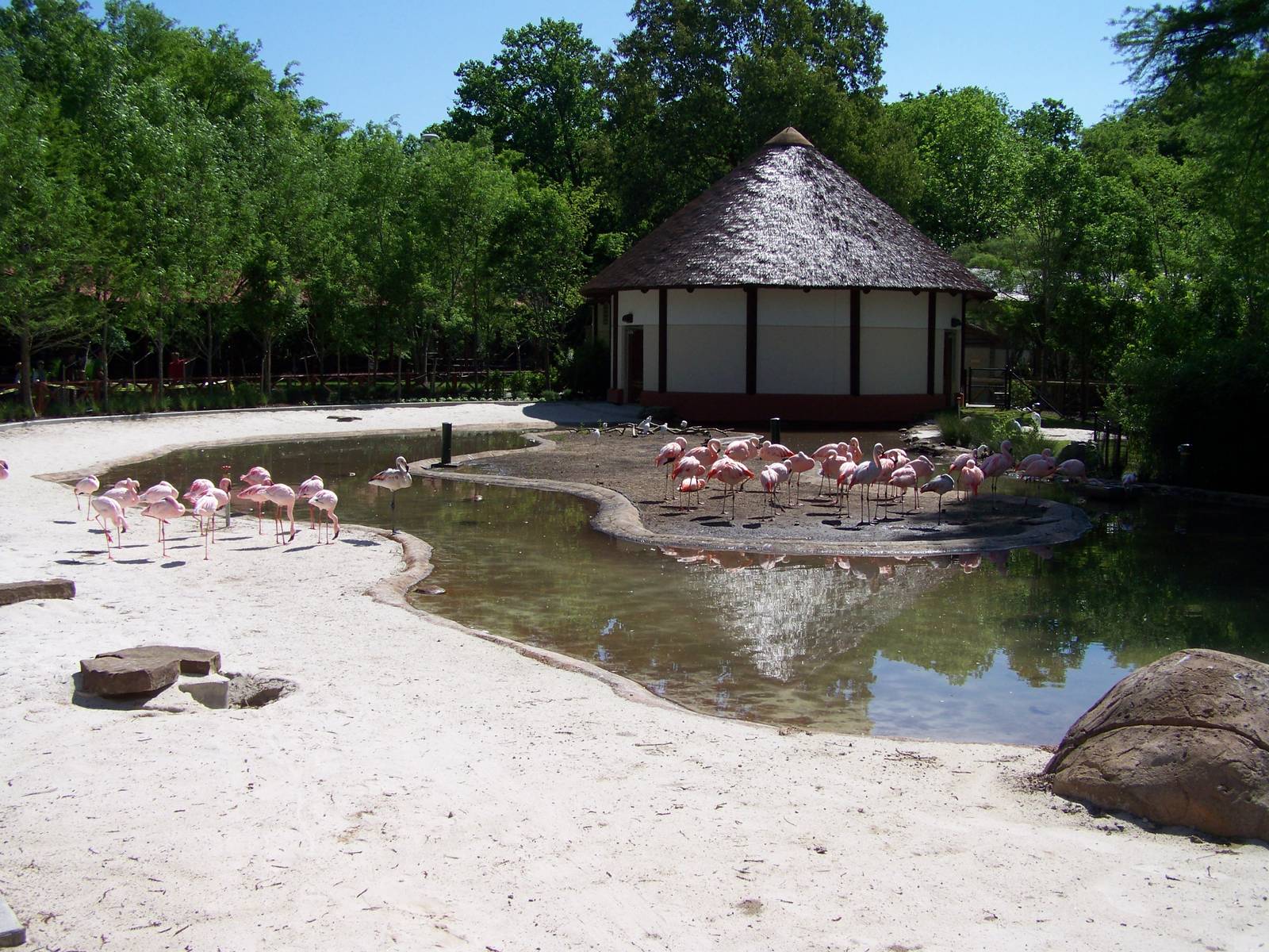 Zambezi River Hippo Camp