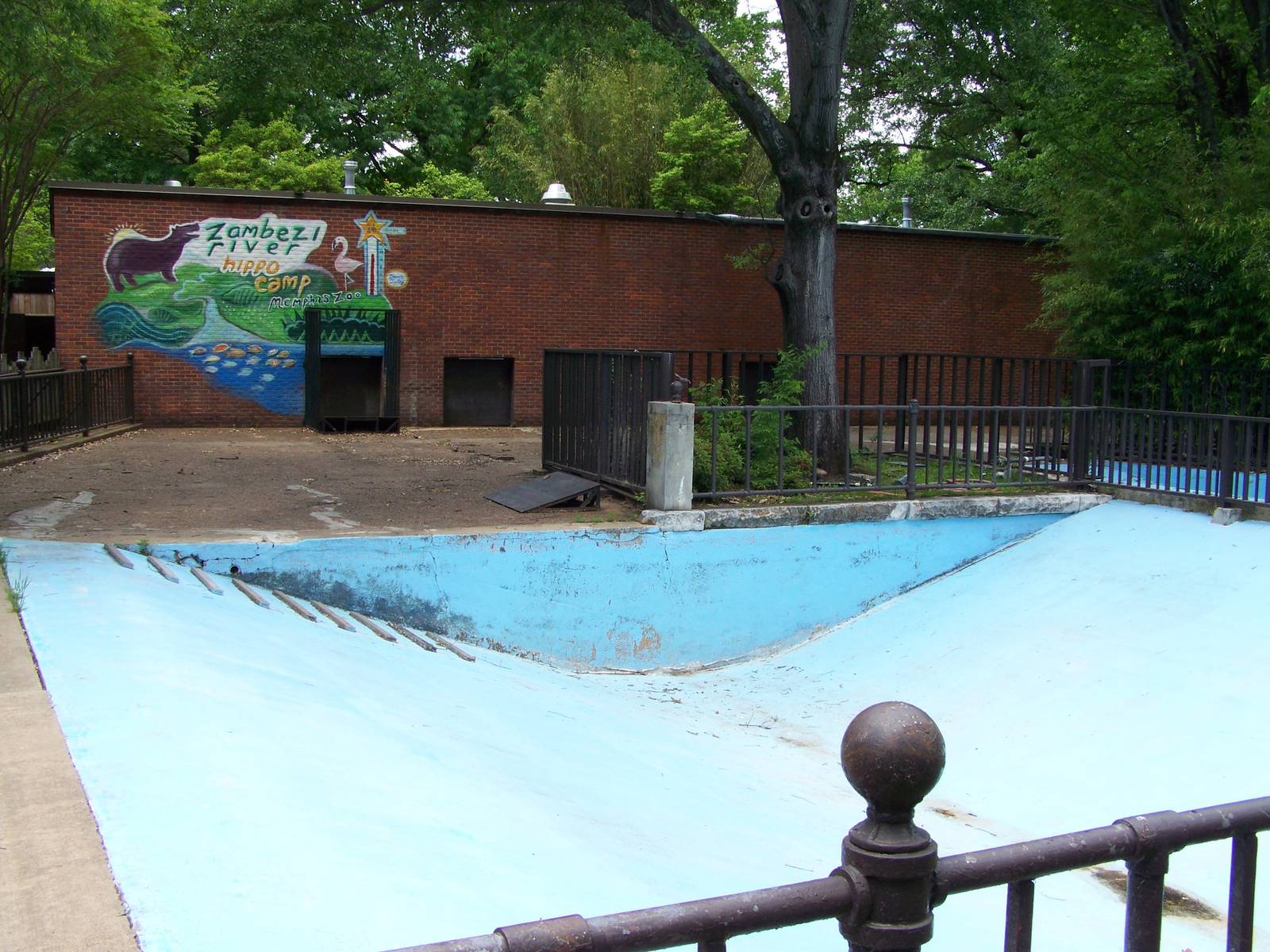 Zambezi River Hippo Camp