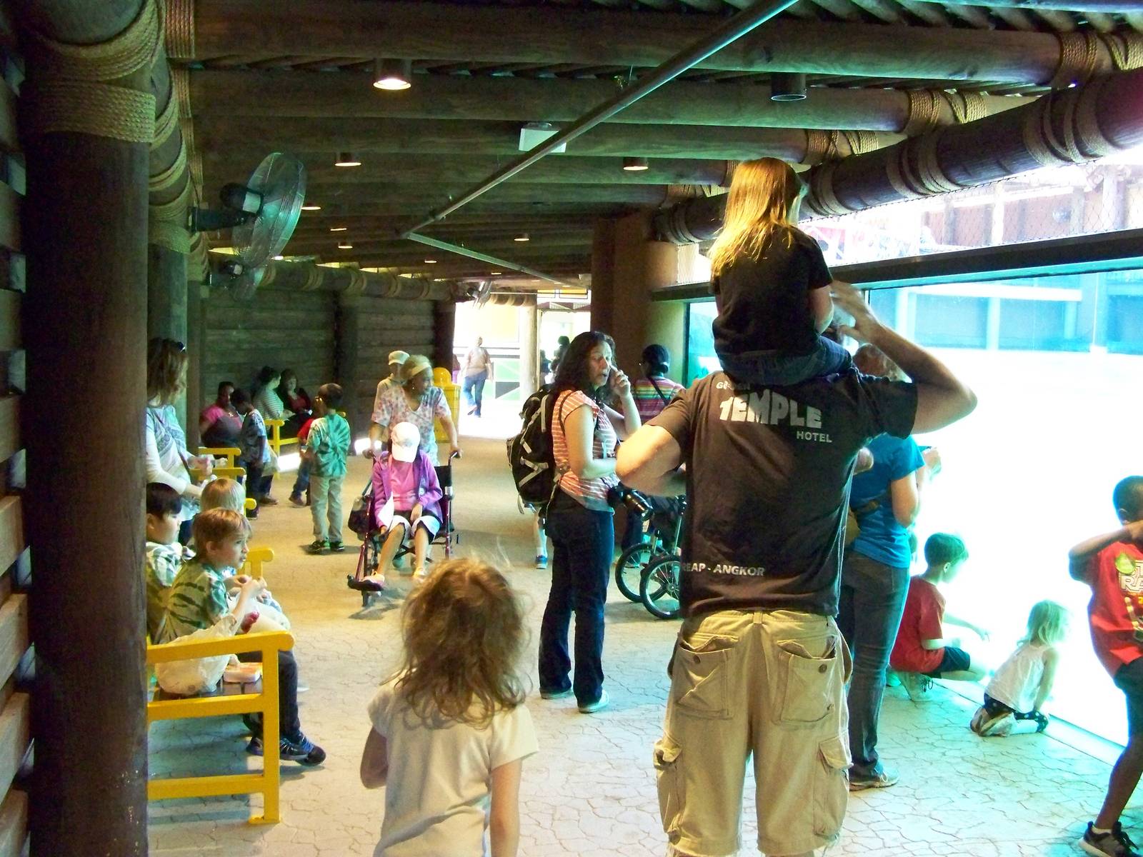 Zambezi River Hippo Camp