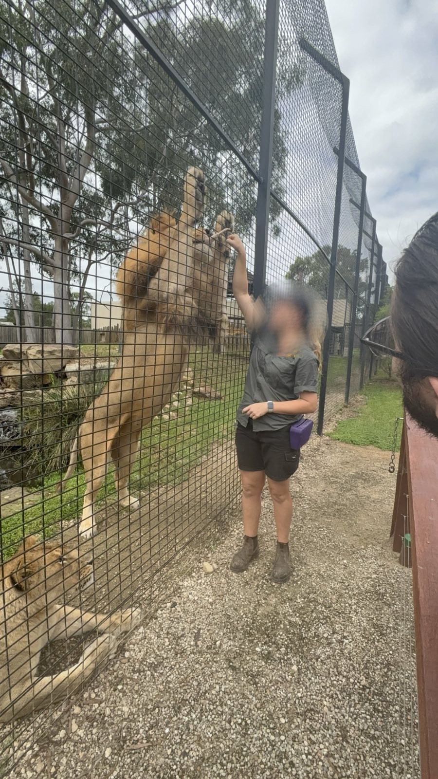 Zambi Wildlife Retreat - Kibulu and Mali