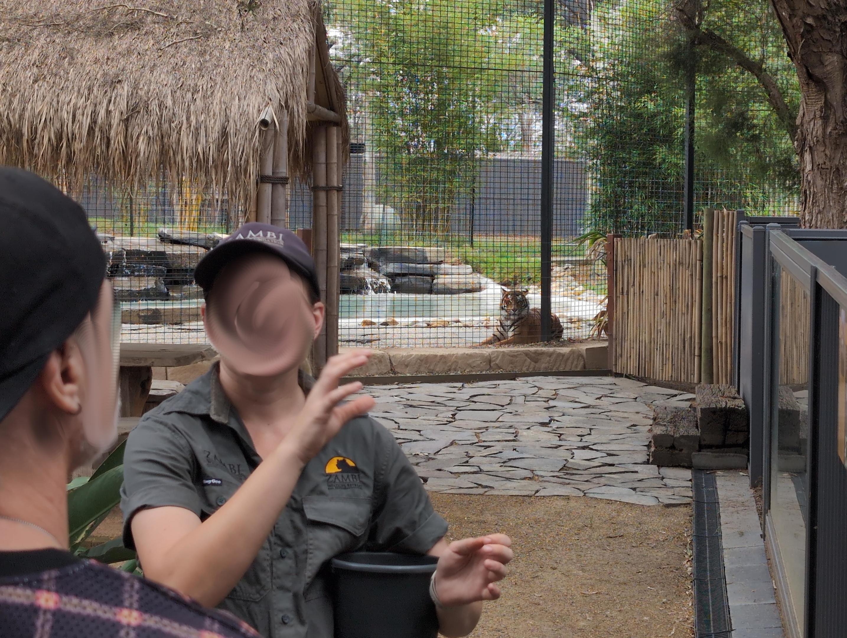 Zambi Wildlife Retreat - Meilah keeping watch