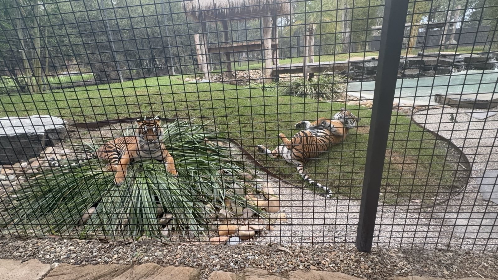 Zambi Wildlife Retreat - Mila and Meilah