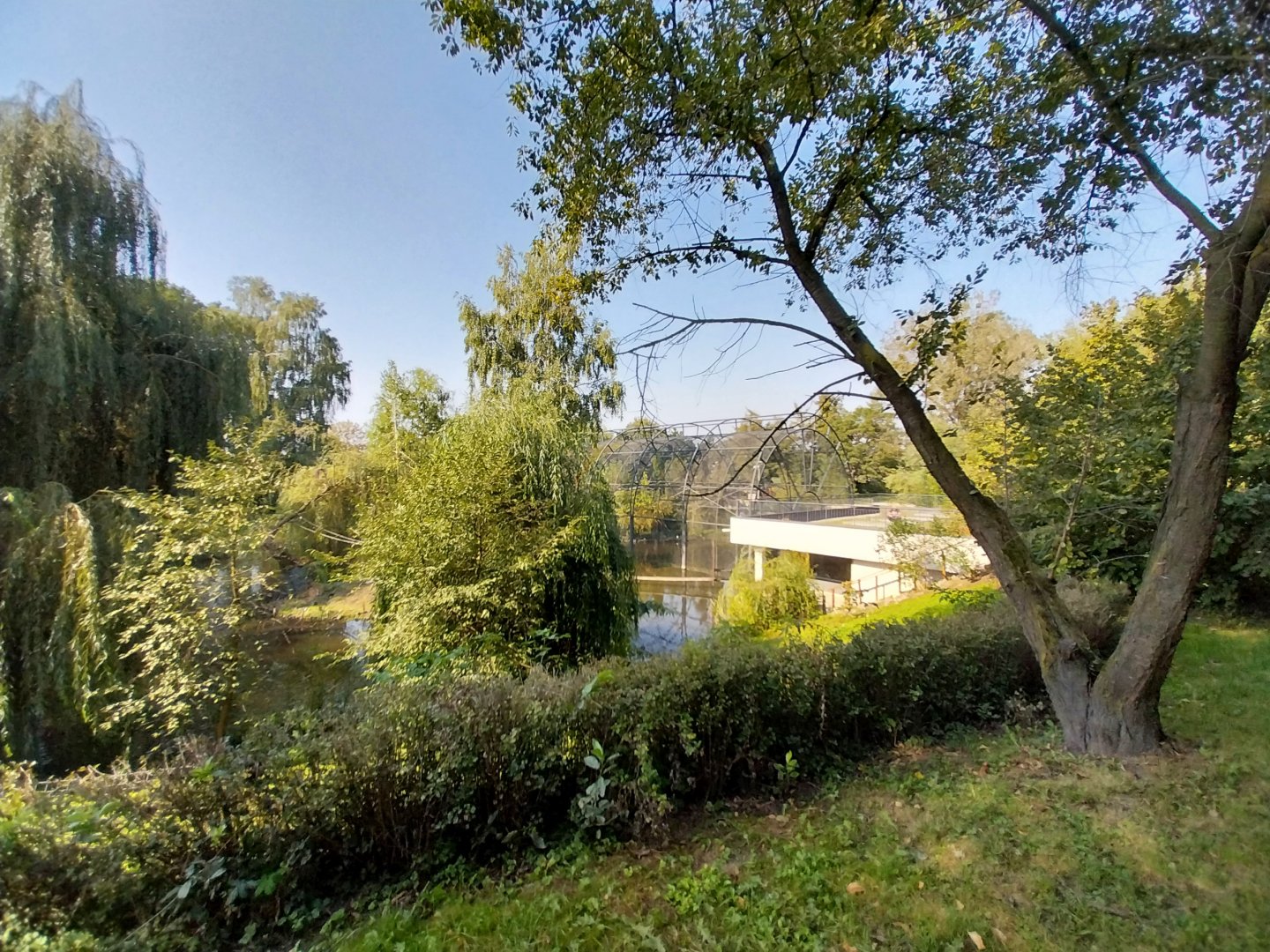 Zamocs Zoo - African Spoonbill aviary